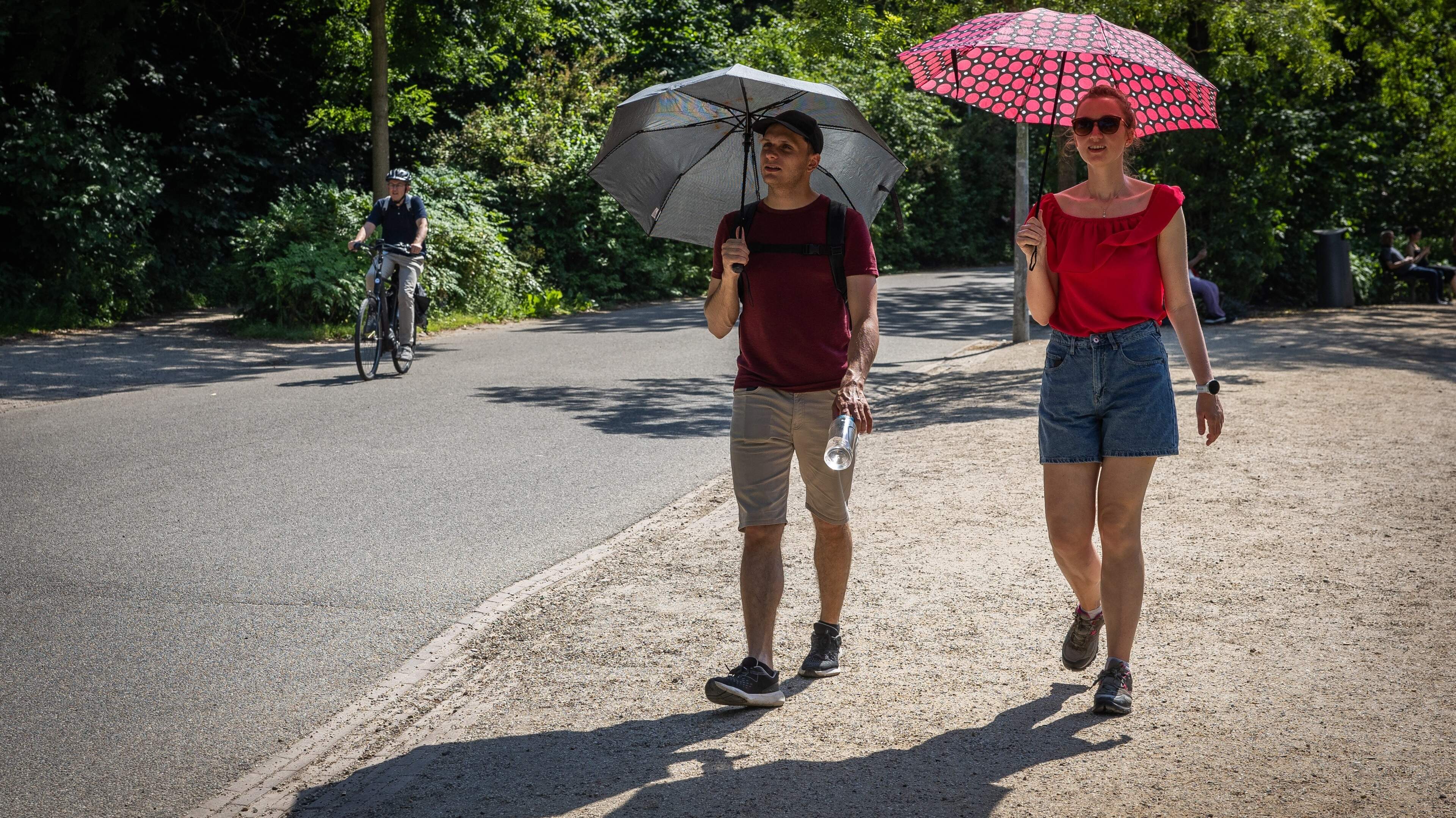 Tropische temperaturen houden Nederland in greep: zon schijnt volop, kwik kan oplopen naar 37 (!) graden